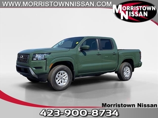 2024 Nissan Frontier for sale in Morristown TN