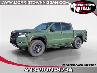 2025 Nissan Frontier for sale in Morristown TN