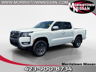 2025 Nissan Frontier for sale in Morristown TN