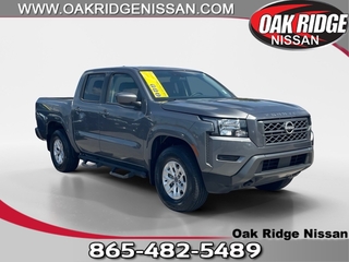 2024 Nissan Frontier for sale in Oak Ridge TN