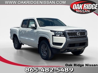 2025 Nissan Frontier for sale in Oak Ridge TN