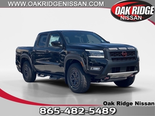 2025 Nissan Frontier for sale in Oak Ridge TN