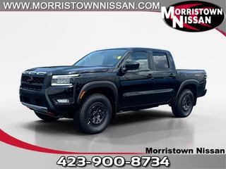 2025 Nissan Frontier for sale in Morristown TN