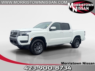 2026 Nissan Frontier for sale in Morristown TN