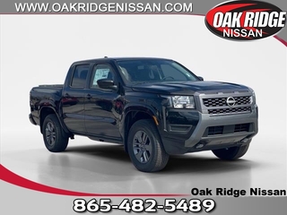 2025 Nissan Frontier for sale in Oak Ridge TN