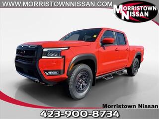 2025 Nissan Frontier for sale in Morristown TN