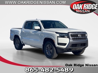 2026 Nissan Frontier for sale in Oak Ridge TN