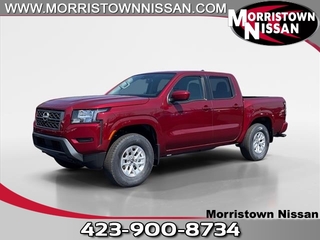 2024 Nissan Frontier for sale in Morristown TN