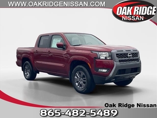 2025 Nissan Frontier for sale in Oak Ridge TN