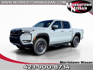 2025 Nissan Frontier for sale in Morristown TN