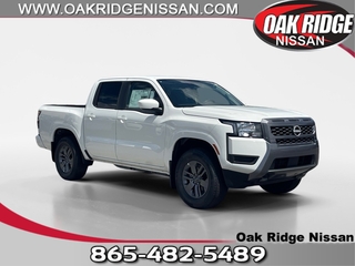 2025 Nissan Frontier for sale in Oak Ridge TN