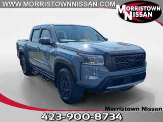 2024 Nissan Frontier for sale in Morristown TN
