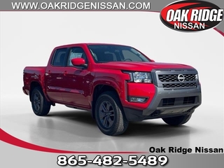 2025 Nissan Frontier for sale in Oak Ridge TN