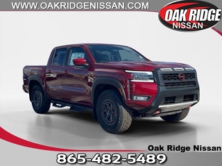 2025 Nissan Frontier for sale in Oak Ridge TN