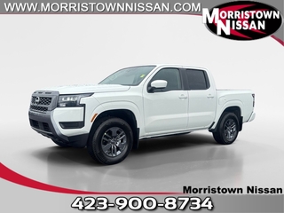 2026 Nissan Frontier for sale in Morristown TN