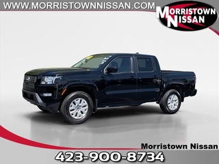 2023 Nissan Frontier for sale in Morristown TN