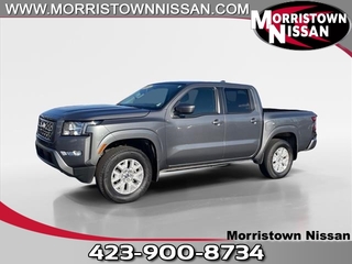 2024 Nissan Frontier for sale in Morristown TN