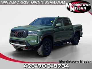 2024 Nissan Frontier for sale in Morristown TN