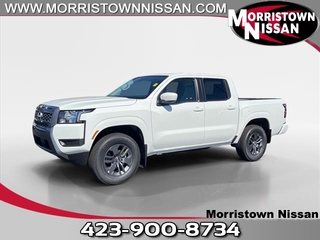 2025 Nissan Frontier for sale in Morristown TN