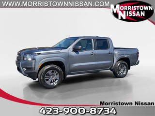 2025 Nissan Frontier for sale in Morristown TN
