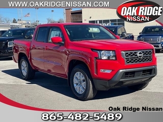 2024 Nissan Frontier for sale in Oak Ridge TN