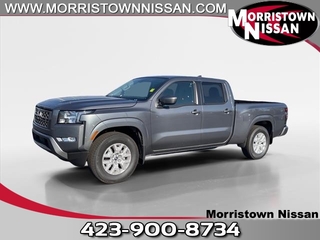 2024 Nissan Frontier for sale in Morristown TN