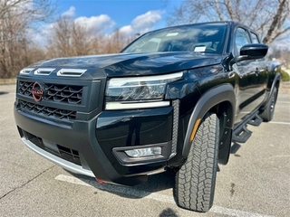 2025 Nissan Frontier for sale in Louisville KY