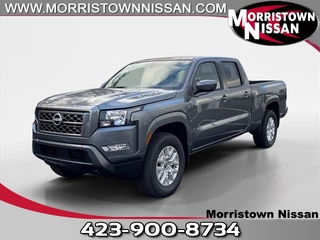 2024 Nissan Frontier for sale in Morristown TN