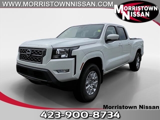 2024 Nissan Frontier for sale in Morristown TN