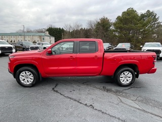 2022 Nissan Frontier for sale in Morristown TN