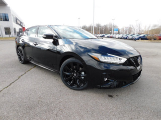 2021 Nissan Maxima for sale in Clarksville TN