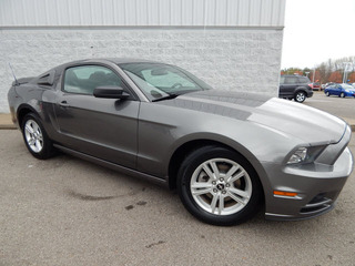 2013 Ford Mustang for sale in Clarksville TN