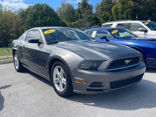 2014 Ford Mustang for sale in Knoxville TN