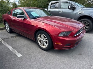 2014 Ford Mustang for sale in Greeneville TN