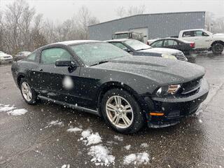 2010 Ford Mustang for sale in Ripley WV