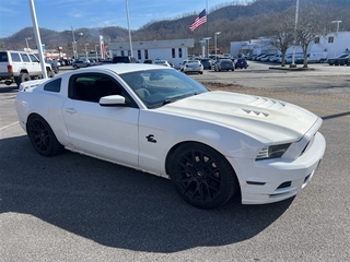 2014 Ford Mustang for sale in Bristol TN