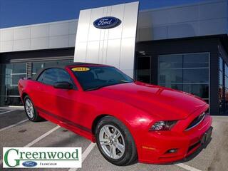 2014 Ford Mustang for sale in Bowling Green KY