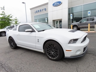 2014 Ford Shelby GT500