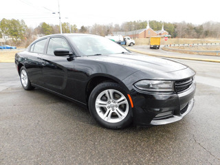 2020 Dodge Charger for sale in Clarksville TN