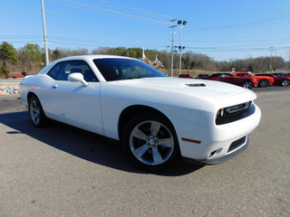 2019 Dodge Challenger for sale in Clarksville TN