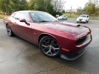 2019 Dodge Challenger for sale in Clarksville TN