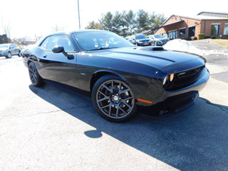 2016 Dodge Challenger for sale in Clarksville TN