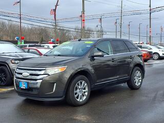 2011 Ford Edge for sale in Woodhaven MI