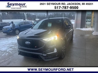 2022 Ford Edge for sale in Jackson MI