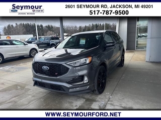 2022 Ford Edge for sale in Jackson MI