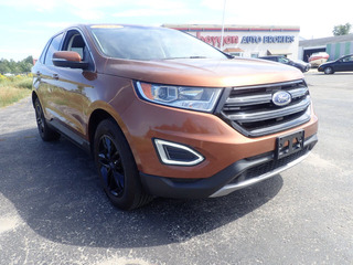 2017 Ford Edge for sale in Cheboygan MI