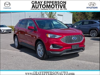 2024 Ford Edge for sale in Cleveland TN