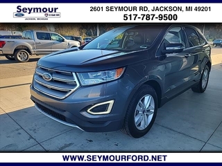 2017 Ford Edge for sale in Jackson MI