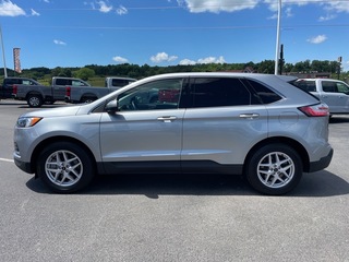 2024 Ford Edge for sale in Dandridge TN