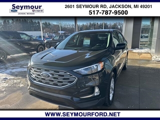 2022 Ford Edge for sale in Jackson MI